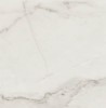 Calacatta Art Silver Lux 60x60
