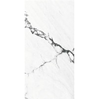 Calacatta Black Polished Rect 60x120
