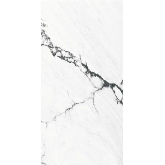 Calacatta Black Polished Rect 60x120
