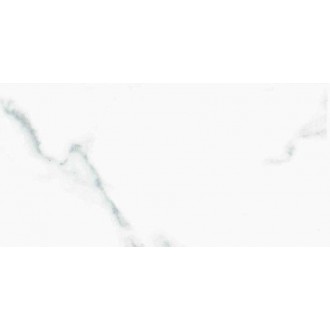 Calacatta Blanco Polished 60x120