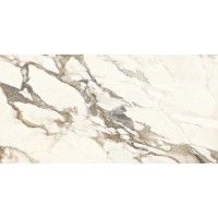 Calacatta Carve 60х120