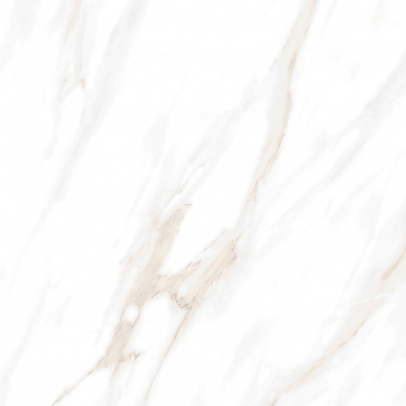 Керамогранит Calacatta Clarity Gold Белый Матовый 60х60