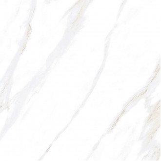 Calacatta Clarity Gold Белый Матовый 80х80