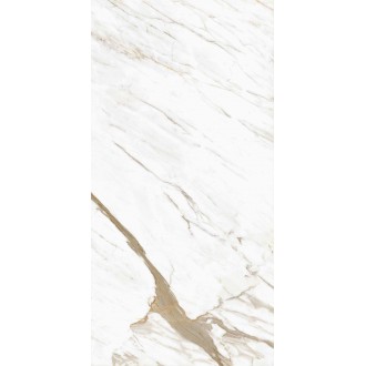 Calacatta Classico Glossy 600x1200