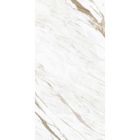 Calacatta Classico Glossy 800x1600