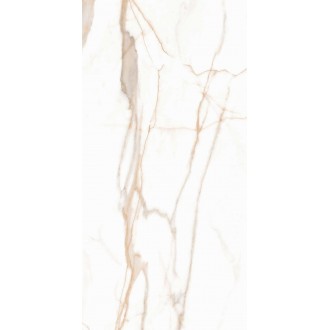 Calacatta Goddes Gold Белый Полированный 60х120