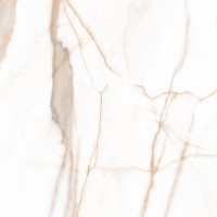 Calacatta Goddes Gold Белый Полированный 60х60