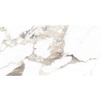 Calacatta Gold Matt PWR MF 60x120