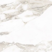 Calacatta Gold Matt PW R 59,9x59,9