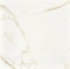 Calacatta Gold Matt Rett 80x80