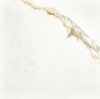 Calacatta Gold Pol Rett 80x80