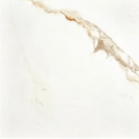 Calacatta Gold Pol Rett 80x80