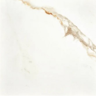 Calacatta Gold Pol Rett 80x80