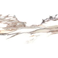 Calacatta Gold Rect 119,7x59,7