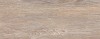 Calacatta Ivori Wood 20,1*50,5