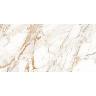 Calacatta Oro полированный 60x120