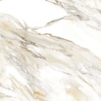 Calacatta Paonazzo 60 Satin 600x600