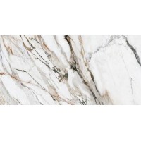 Calacatta Paonazzo Polished Rect 60x120