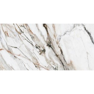 Calacatta Paonazzo Polished Rect 60x120