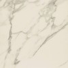 Calacatta Rectified Matt 80x80