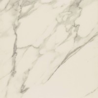 Calacatta Rectified Matt 80x80