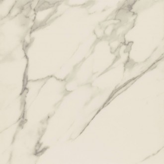 Calacatta Rectified Matt 80x80