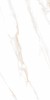 Calacatta Regal Gold Белый Полированный 60х120