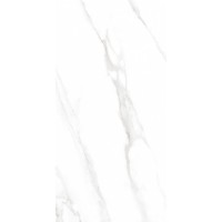 Calacatta Regal Grey Белый Полированный 60х120