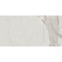 Calacatta Silver Nat 30x60