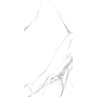 Calacatta Splendid Silver Белый Матовый 60х120