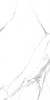 Calacatta Splendid Silver Белый Матовый 60х120