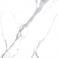 Calacatta Splendid Silver Белый Матовый 60х60