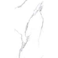 Calacatta Splendid Silver Белый Полированный 60х120