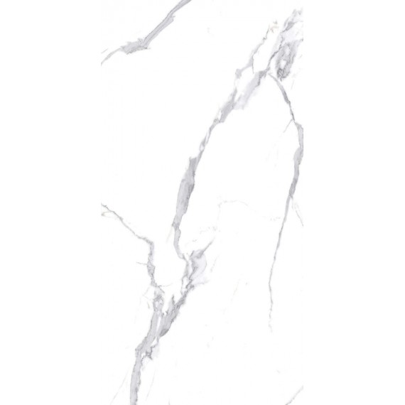 Керамогранит Calacatta Splendid Silver Белый Полированный 60х120