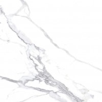 Calacatta Splendid Silver Белый Полированный 60х60