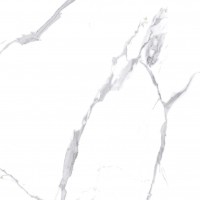Calacatta Splendid Silver Белый Полированный 80х80