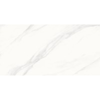 Calacatta Superb сатинированный 60x120