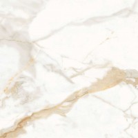 Calacatta Superior Белый Полированный 60х60
