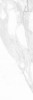 Calacatta White 25x75
