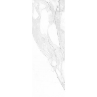 Calacatta White Rett 25x75