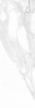 Calacatta White Rett 25x75
