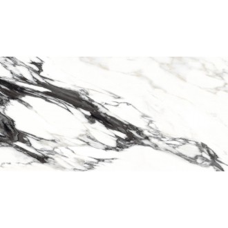 Calcatta Extra High Gloss Rectificado 60x120