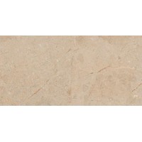 Camel Glossy 60x120