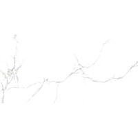 Capitol Matt 8.5 mm 60x120