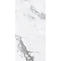 Capraia White Pulido Rect 59x119