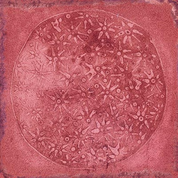 Керамогранит Carlo Granate-B 20x20