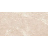 Carnico Beige бежевый 60x120