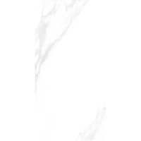 Carrara Excellent Silver Белый Матовый 60х120