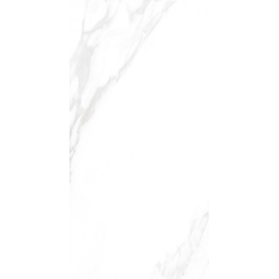 Керамогранит Carrara Excellent Silver Белый Матовый 60х120