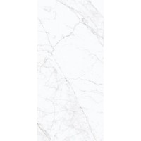 Carrara Fogg Polish 59,8х119,8